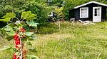 Outdoor - Ferienhaus für 6 Personen (81 m²) in Amtoft - Top-Hundeurlaub