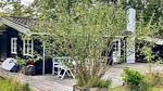 Outdoor - Ferienhaus für 6 Personen (81 m²) in Amtoft - Top-Hundeurlaub