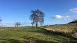 Untagged - Ferienhaus für 8 Personen (84 m²) in Knebel - Top-Hundeurlaub
