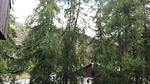 Untagged - Ferienwohnung für 5 Personen (43 m²) in Les Orres - Top-Hundeurlaub