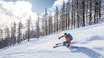 AreaWinter5KM - Ferienwohnung für 6 Personen (25 m²) in Avoriaz - Top-Hundeurlaub