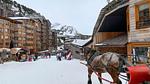 AreaWinter5KM - Ferienwohnung für 8 Personen (35 m²) in Avoriaz - Top-Hundeurlaub