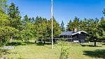 Outdoor - Ferienhaus für 5 Personen (67 m²) in Nørre Nebel - Top-Hundeurlaub