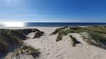 Untagged - Ferienhaus für 5 Personen (67 m²) in Nørre Nebel - Top-Hundeurlaub