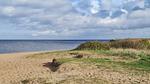 WaterView - Ferienhaus für 7 Personen (95 m²) in Tarm - Top-Hundeurlaub