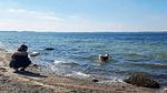 WaterView - Ferienhaus für 7 Personen (99 m²) in Alsen - Top-Hundeurlaub