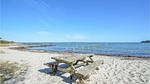 house - Ferienhaus für 6 Personen (67 m²) in Hejls - Top-Hundeurlaub