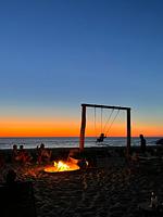 Puik en Duin Ferienhaus 5a - Top-Hundeurlaub