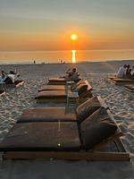 Puik en Duin Ferienhaus 5a - Top-Hundeurlaub