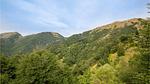 view-from-room - Ferienhaus für 8 Personen (100 m²) in Palagnana - Top-Hundeurlaub