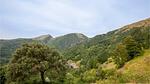 view-from-room - Ferienhaus für 8 Personen (100 m²) in Palagnana - Top-Hundeurlaub