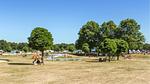 image/jpeg - Ferienhaus für 5 Personen (90 m²) in Hoge Hexel - Top-Hundeurlaub