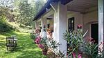 exterior - Ferienhaus für 2 Personen (47 m²) in Gerersdorf bei Güssing - Top-Hundeurlaub