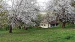 outside - Ferienhaus für 2 Personen (47 m²) in Gerersdorf bei Güssing - Top-Hundeurlaub