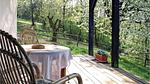 outside - Ferienhaus für 2 Personen (47 m²) in Gerersdorf bei Güssing - Top-Hundeurlaub