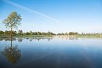 Golfen mit Hund im Golf & Country Club Brunstorf - Top-Hundeurlaub