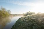 Golfen mit Hund im Golf & Country Club Brunstorf - Top-Hundeurlaub