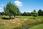 Golfen mit Hund im Golf & Country Club Brunstorf - Top-Hundeurlaub