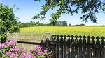 view-from-room - Ferienhaus für 6 Personen (122 m²) in Nysted - Top-Hundeurlaub
