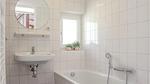 bathroom - Ferienhaus für 6 Personen (59 m²) in Ommen - Top-Hundeurlaub