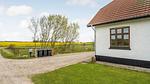 outside - Ferienhaus für 9 Personen (256 m²) in Bedsted Thy - Top-Hundeurlaub