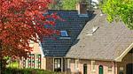 outside - Ferienhaus für 6 Personen (102 m²) in Ommen - Top-Hundeurlaub