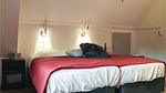 bed - Ferienhaus für 6 Personen (102 m²) in Ommen - Top-Hundeurlaub