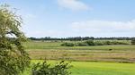 house - Ferienhaus für 8 Personen (165 m²) in Skærbæk - Top-Hundeurlaub
