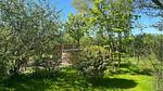 outside - Ferienhaus für 8 Personen (125 m²) in Hemmet - Top-Hundeurlaub
