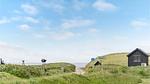 view-from-room - Ferienhaus für 6 Personen (83 m²) in Løkken - Top-Hundeurlaub