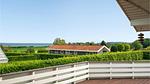 view-from-room - Ferienhaus für 8 Personen (80 m²) in Hejls - Top-Hundeurlaub