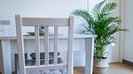 interior - Ferienhaus für 2 Personen (80 m²) in Ostra - Top-Hundeurlaub