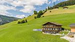 Außenseite Ferienhaus [Sommer] - Ferienwohnung für 11 Personen (100 m²) in Wald im Pinzgau - Top-Hundeurlaub