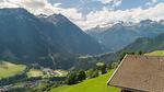 Aussicht vom Ferienhaus [Sommer] - Ferienwohnung für 11 Personen (100 m²) in Wald im Pinzgau - Top-Hundeurlaub