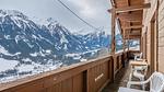 Terrasse / Balkon - Ferienwohnung für 11 Personen (100 m²) in Wald im Pinzgau - Top-Hundeurlaub