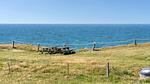 area - Ferienhaus für 22 Personen (314 m²) in Løkken - Top-Hundeurlaub