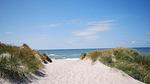 beach - Ferienhaus für 8 Personen (149 m²) in Ringkøbing - Top-Hundeurlaub