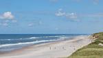 beach - Ferienhaus für 8 Personen (149 m²) in Ringkøbing - Top-Hundeurlaub
