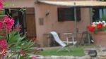 exterior - Ferienwohnung für 2 Personen (36 m²) in Amelia - Top-Hundeurlaub