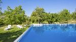 house - Ferienwohnung für 2 Personen (30 m²) in Civitella Marittima - Top-Hundeurlaub
