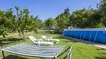 exterior - Ferienwohnung für 2 Personen (30 m²) in Civitella Marittima - Top-Hundeurlaub