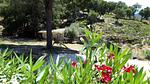 house - Ferienhaus für 6 Personen (60 m²) in Sainte-Maxime - Top-Hundeurlaub