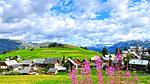 Untagged - Ferienwohnung für 9 Personen (35 m²) in Albiez Montrond - Top-Hundeurlaub