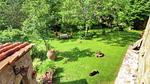 GardenSummer - Bauernhof für 5 Personen (75 m²) in Cortona - Top-Hundeurlaub