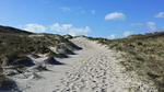 WaterView - Ferienwohnung für 5 Personen (91 m²) in Ringkøbing - Top-Hundeurlaub