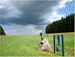 Golfen mit Hund am Obinger See - Top-Hundeurlaub