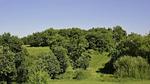 GardenSummer - Villa für 12 Personen in Lias d'Armagnac - Top-Hundeurlaub