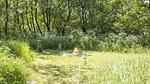activities - Ferienhaus für 20 Personen (250 m²) in Rømø - Top-Hundeurlaub
