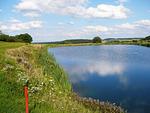 Golfclub Taunus Weilrod - Top-Hundeurlaub