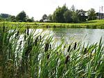 Golfclub Taunus Weilrod - Top-Hundeurlaub
